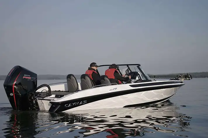 Caymas DV 19 Limited